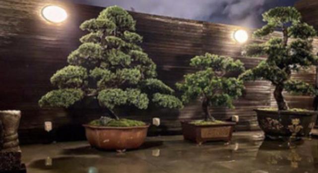 郭碧婷几月份结的婚,郭碧婷还没领证