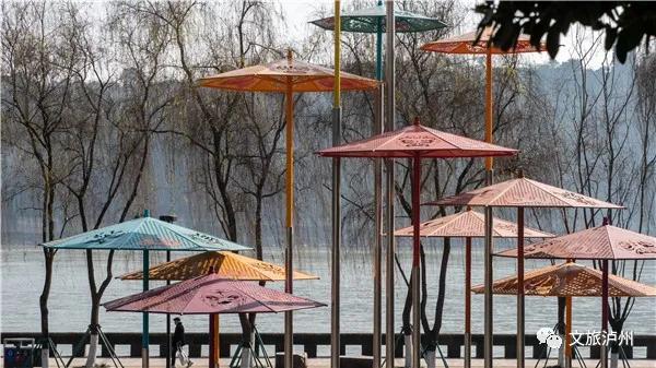 泸州的腊梅花在什么地方,泸州腊梅花观赏