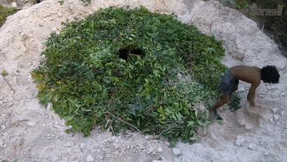 木棍怎么挖出泳池,一根棍子挖出一个游泳池