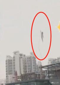 想减压的年轻人，都被成精的花洒滋哭了