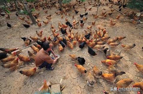 做好这3点你就能活得很好,做好这三点可能改变你的命运