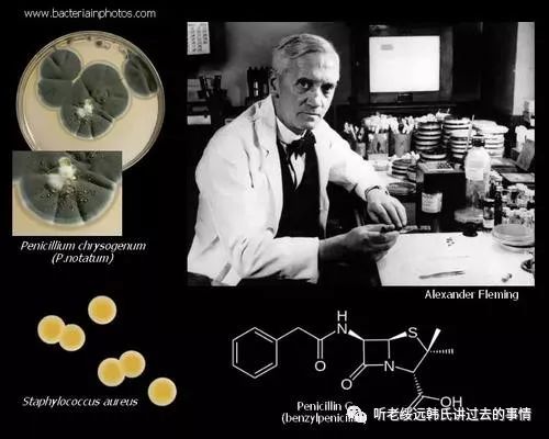老韩讲故事：盘尼西林的故事