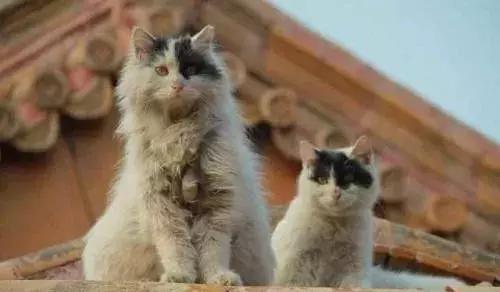 玩转京城北京,游北京游记