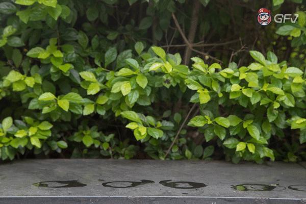 瑞幸和kfc咖啡谁的好喝,瑞幸咖啡奶盖茶上线真的好喝吗