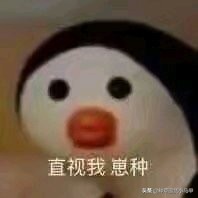 芮一面膜有激素超标吗,网红面膜产品打假测评