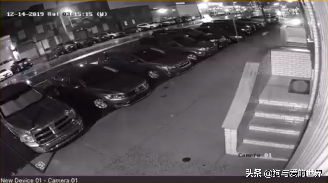 鏅氫笂瀹堕噷杩涗簡涓嶆槑鐢熺墿,鐢峰瓙鍗婂鍥炲閬囦笂涓嶆槑鐢熺墿