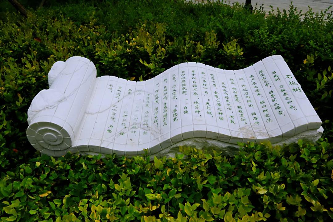 金陵小学和南师附小哪个好一些,金陵小学仙林湖校区一学期学费