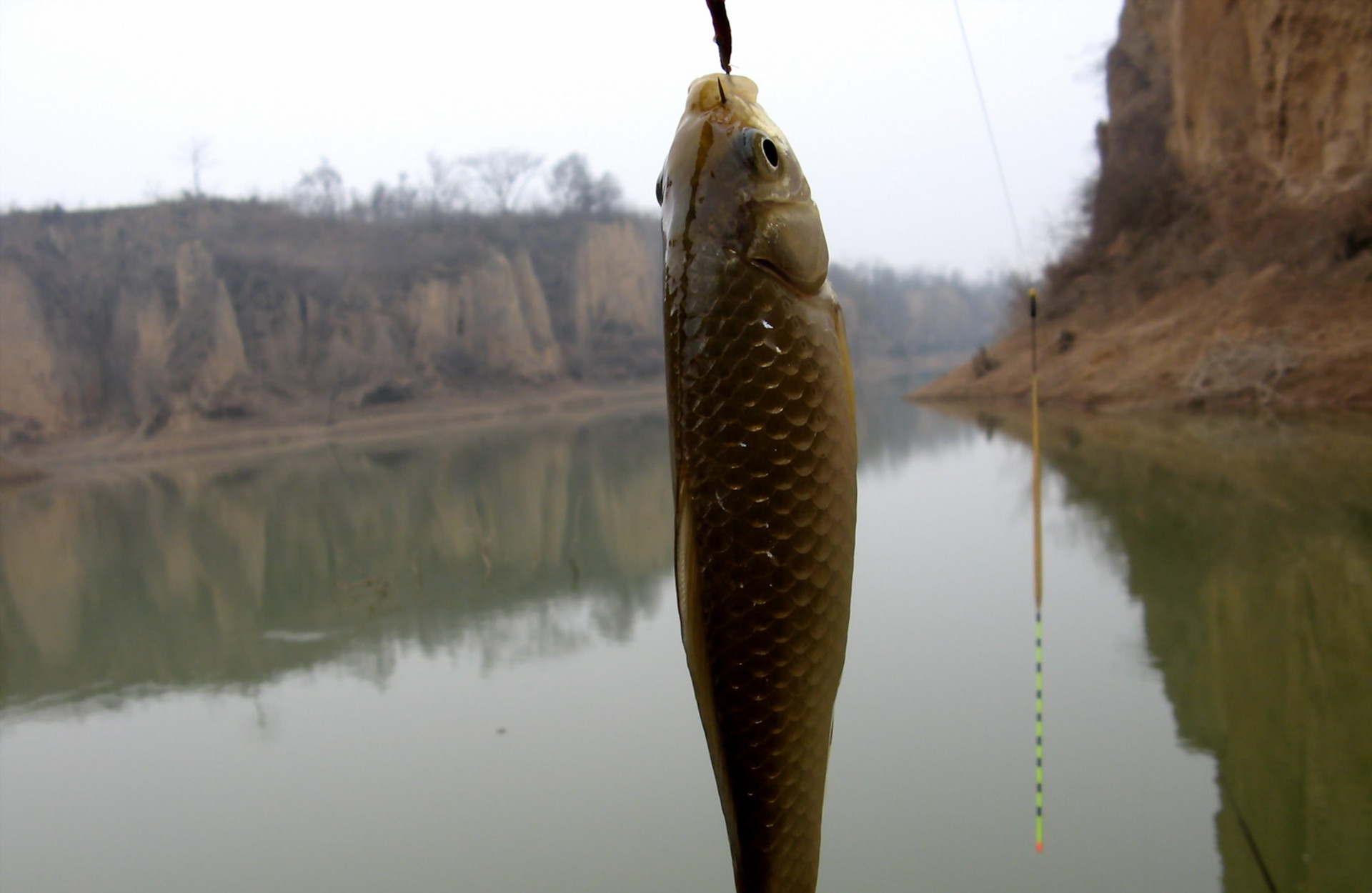 野钓选择什么鱼钩可以大小兼顾,如何钓鱼时选择正确的大小鱼钩