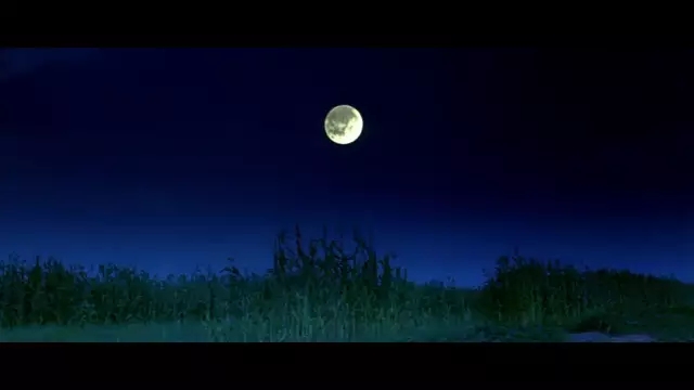 悦读文摘莫言经典语录,悦读莫言