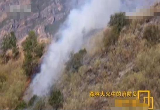 中央节目主持人董倩现在干嘛呢,董倩主持人最近的消息