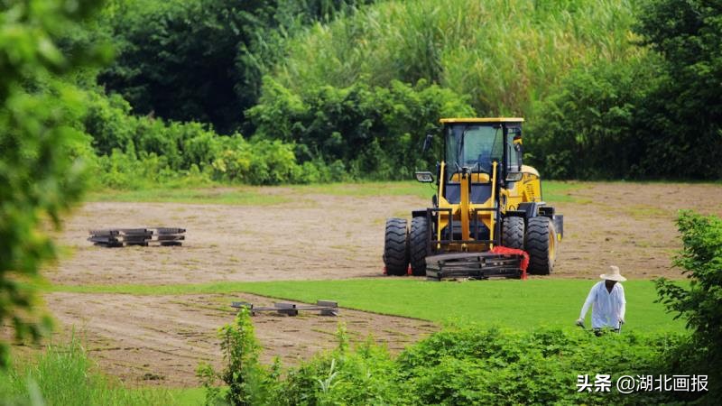 生态天兴洲，美在水云间