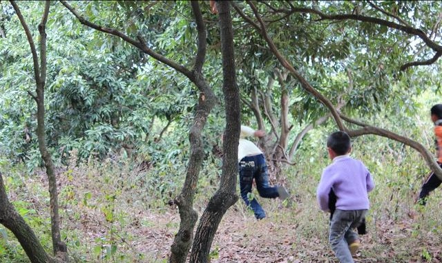 乡土散文拾麦子,乡土散文集