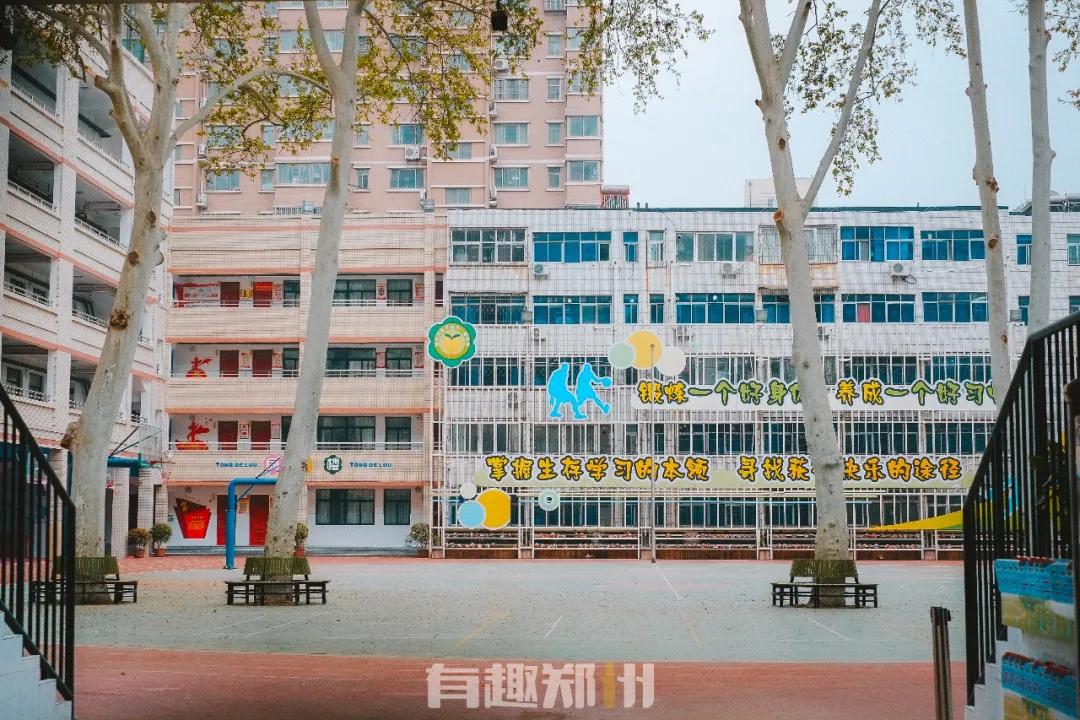 纬一路：在遮天的法桐里想起龙门书店的往事，以及家属院时光……