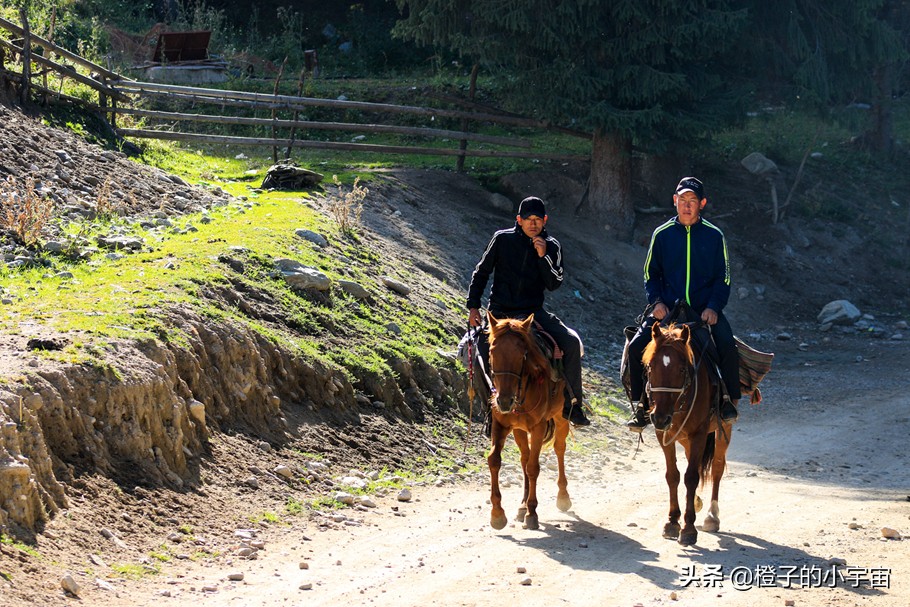 怀念琼库什台的羊毛被