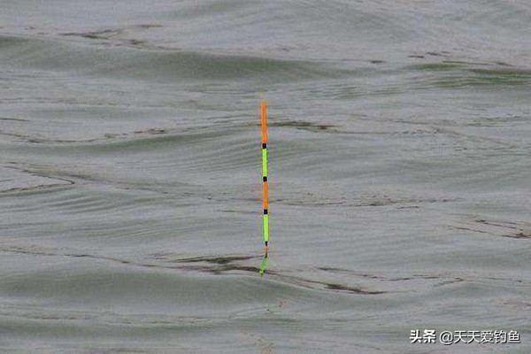 浮漂漂身长短有什么区别野钓,浮漂漂尾和漂脚的比例