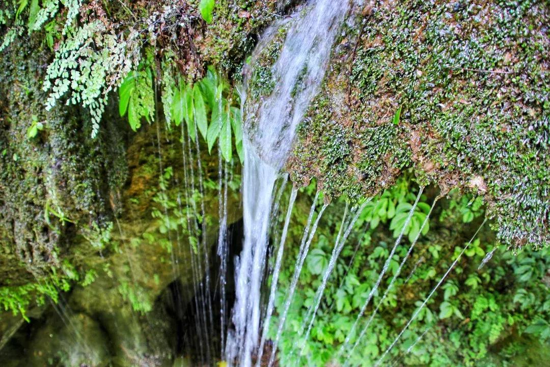 飞拉达攀岩溜索丛林溯溪地心探洞,清远飞拉达丛林探险