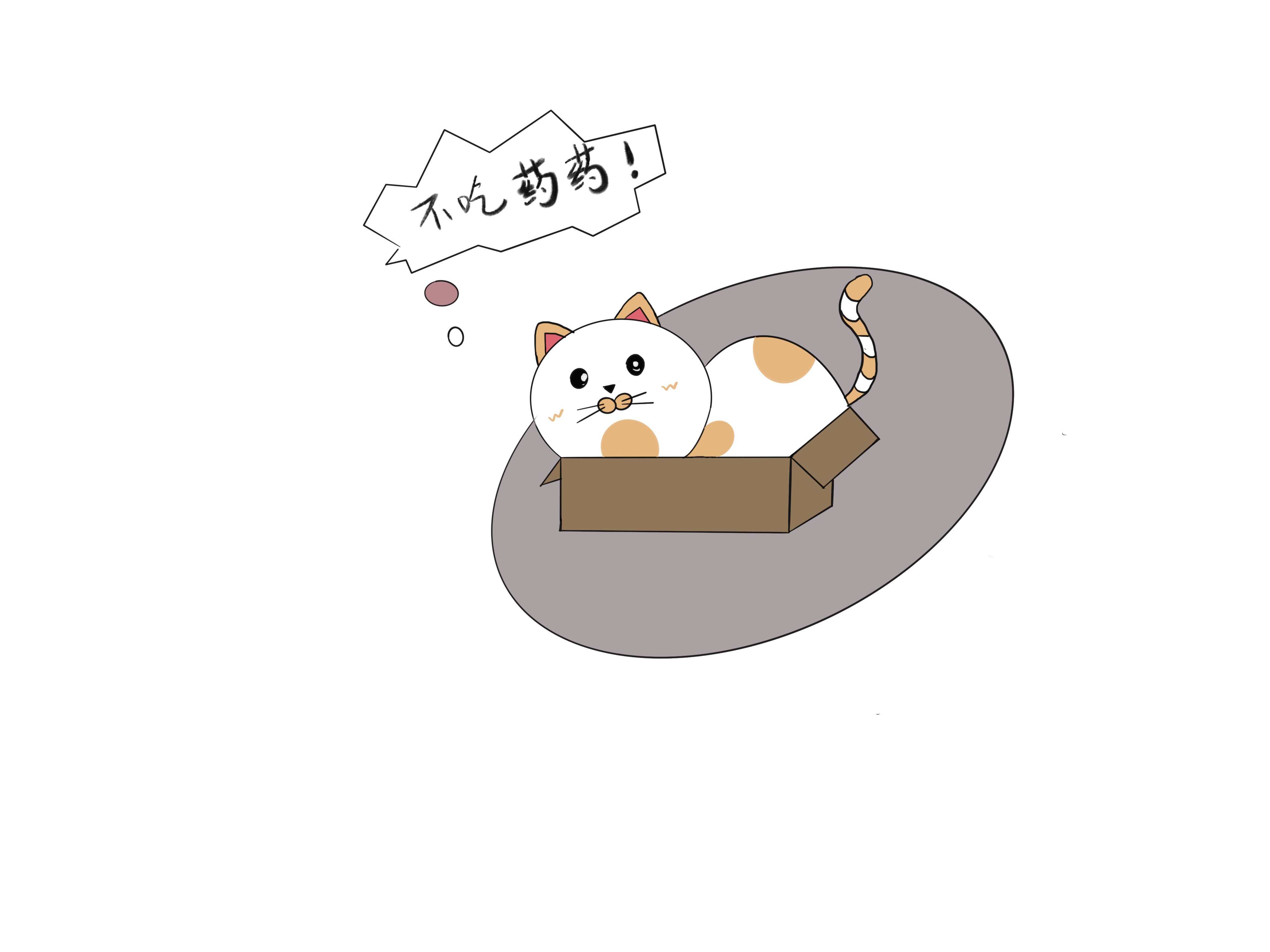 铲屎官：猫主子在家乱撒尿应该怎么办？先找原因，然后再解决问题