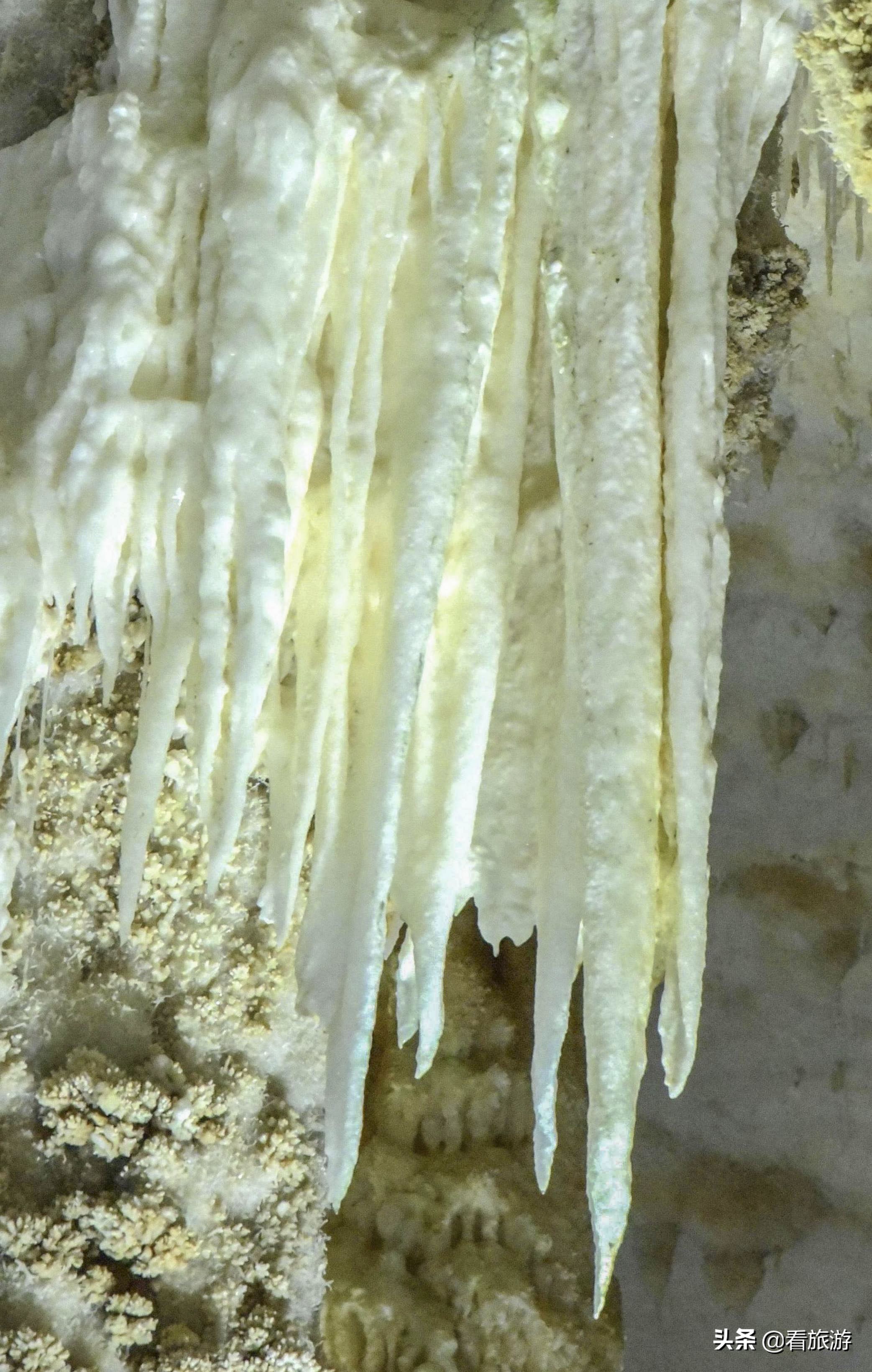 海洋深处水晶宫,水晶宫造型图