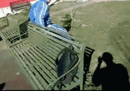 搞笑gif段子又能混饭吃了,搞笑段子gif保证你笑破肚皮