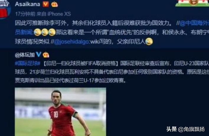 印尼足协如何归化球员,印尼国家男子足球队归化球员