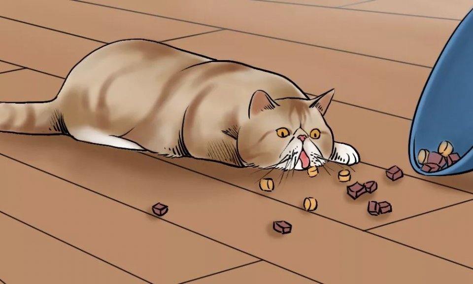 城市里养猫的人非富即贵,有多少人养猫家里有钱了