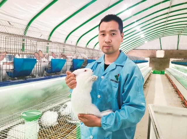 90后回家创业肉兔养殖,00后在农村创业养殖兔业