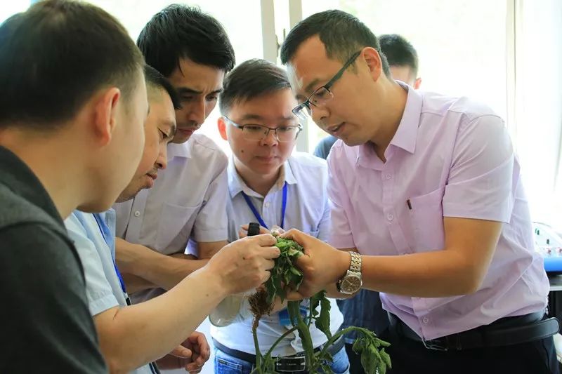 无土栽培和土壤种植技术研究所,农业无土栽培技术培训