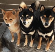 受益人详细解析,受益人深度解读