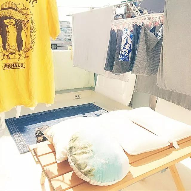 为什么晚上不宜在阳台晾衣服,为什么晚上不能在阳台上晾衣服