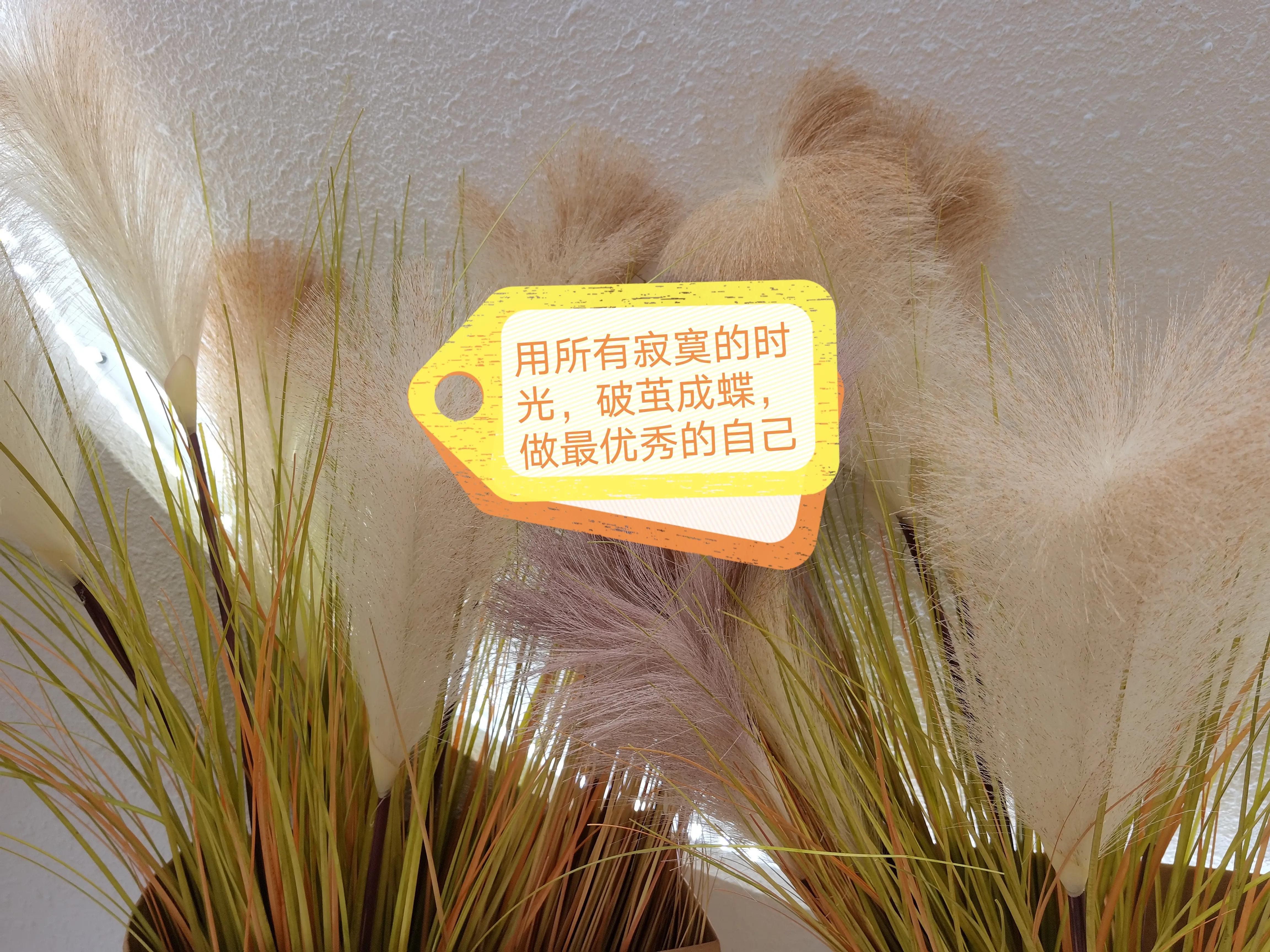 保持个性活出自我,做人要靠自己经典语录