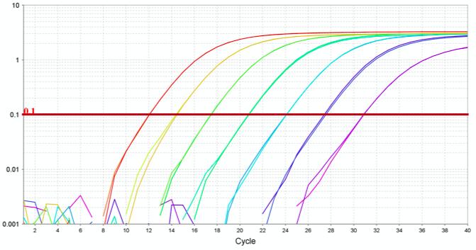 新冠病毒检测结果实验室解读,新冠病毒有哪些实验室检测方法