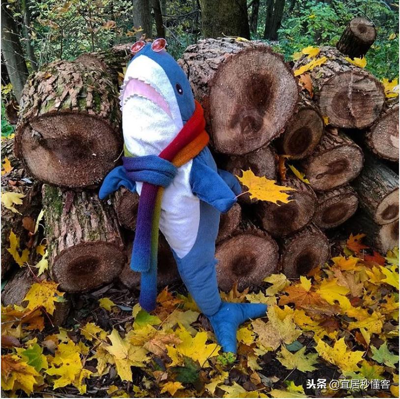 宜家小鲨鱼,为什么宜家鲨鱼火了