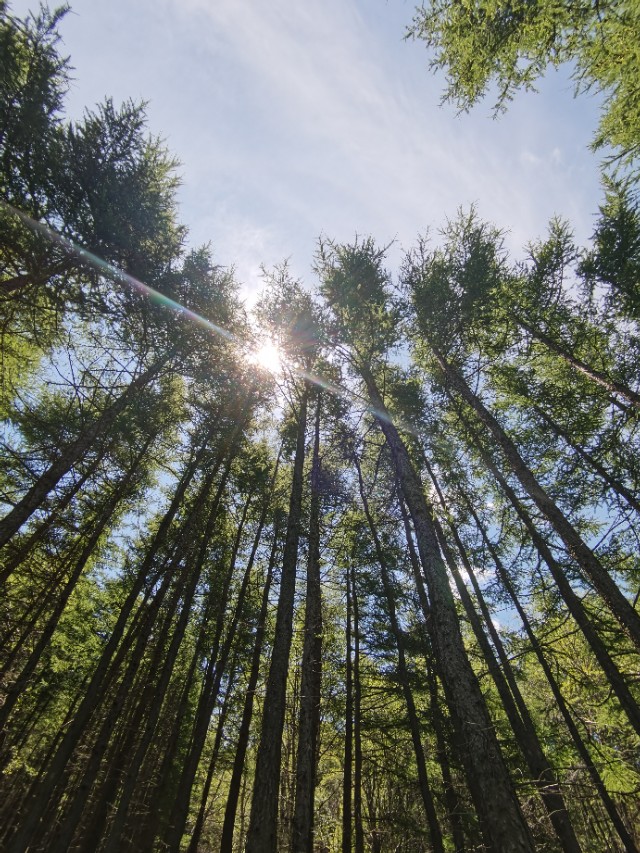 宿在驼梁，感受一种无忧的生活/郝贵云