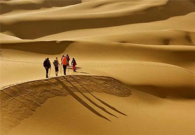 为何沙漠中看到石头一定要捡,沙漠发现值钱石头是什么