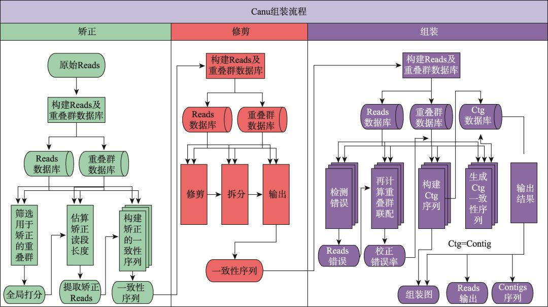 复杂基因组三代测序组装算法,基因组测序技术的发展