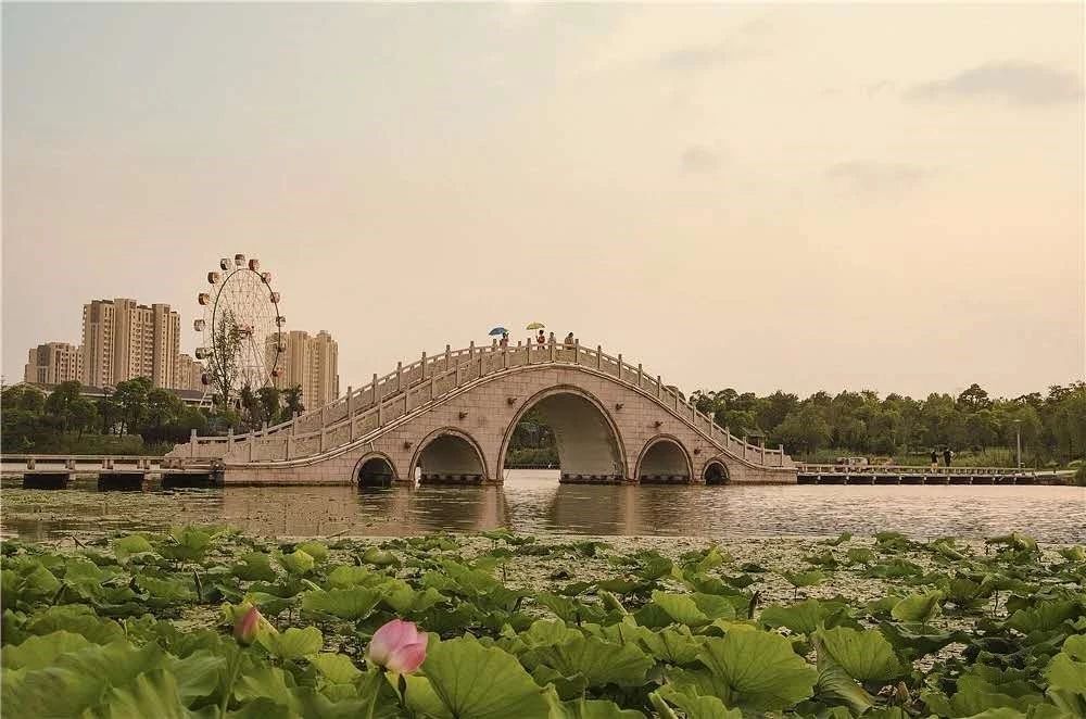 大丰马拉松2024,大丰马拉松