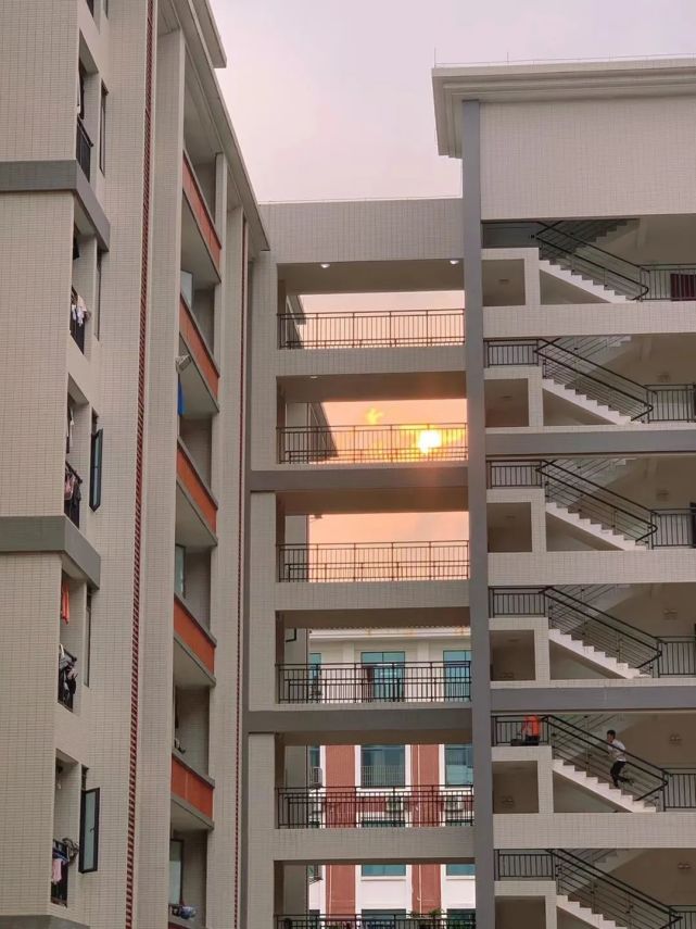 广东岭南职业技术学院2024分数,广东岭南职业技术学院志愿填报