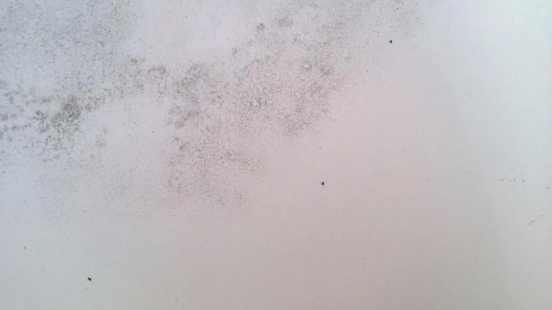 乳胶漆墙面污渍发霉开裂如何处理,墙面鼓包开裂怎么修复