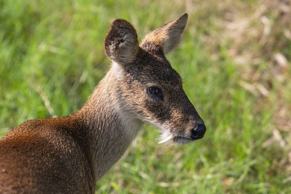 4个月宝宝逛北京动物园,武汉最好逛的动物园