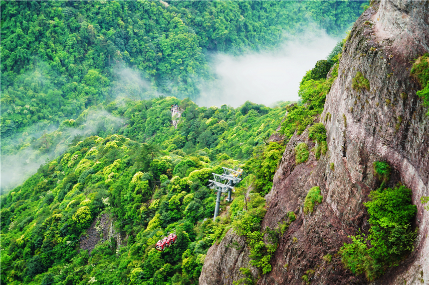 浙江有一个神奇山,浙江山里蝌蚪
