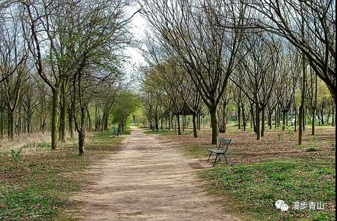 邂逅深秋---欧洲漫记(4)