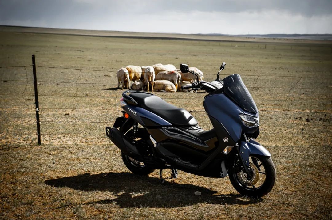 雅马哈nmax155对比本田pcx150,nmax155雅马哈为什么是神车