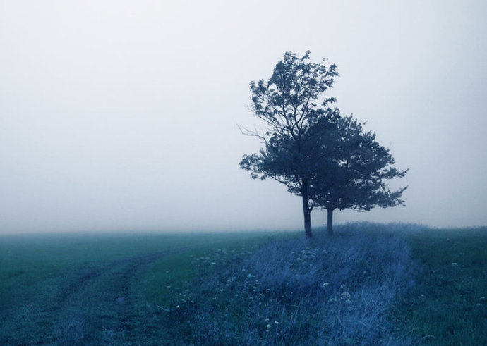 鍔犵洘渚垮埄搴楄鍧戜簡鎬庝箞杩藉洖鎹熷け,鐗硅鍔犵洘杩藉洖鎹熷け