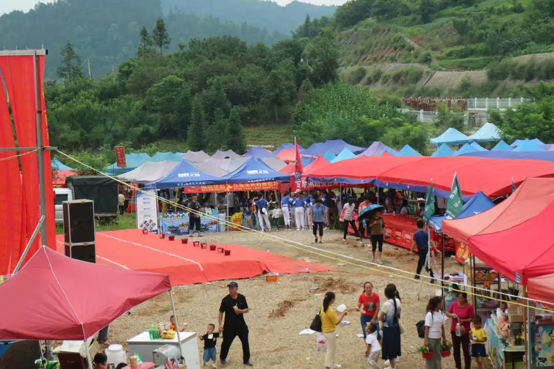 羊安杨梅节直播,羊安杨梅采摘