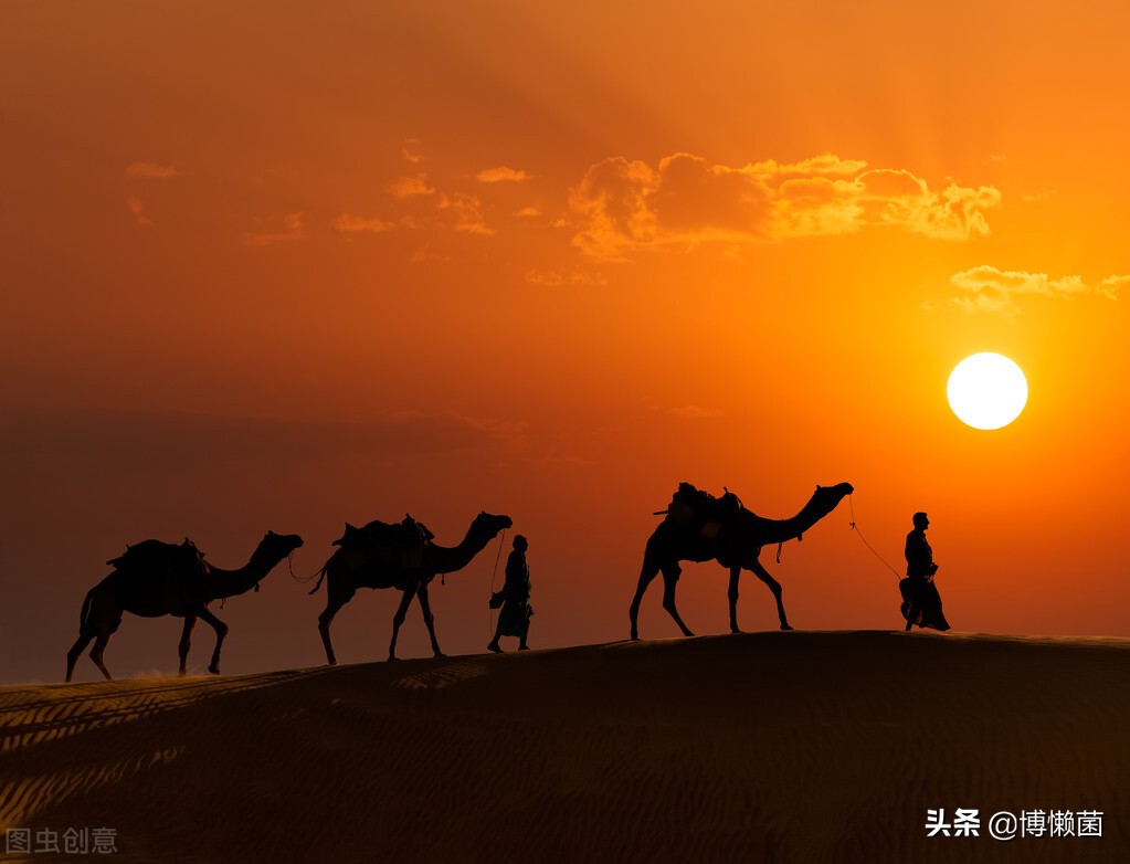 最恶心的撩妹方式：骆驼吐肉球，肉球越大越丑，越容易获得交配权