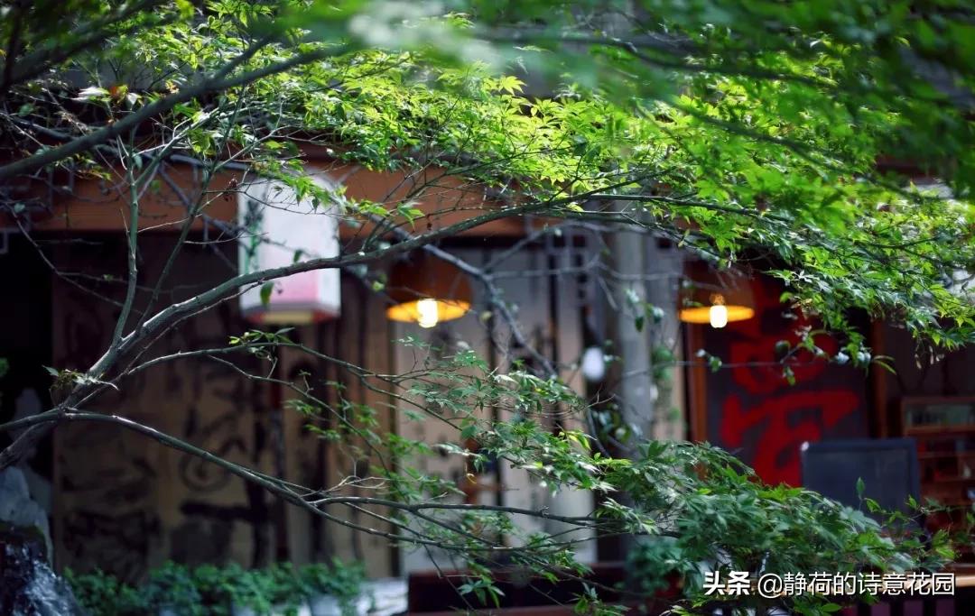 愿岁月静好度细水流年啥意思,最温柔古诗词