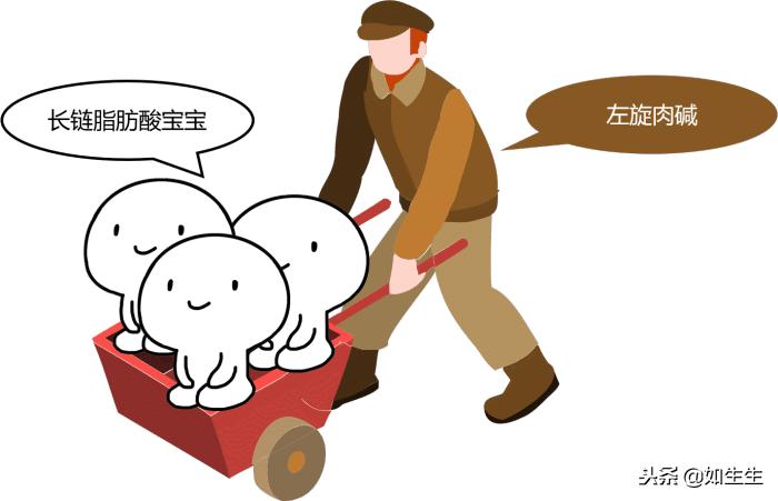 集妍堂左旋肉碱减肥,迈德来减肥左旋肉碱