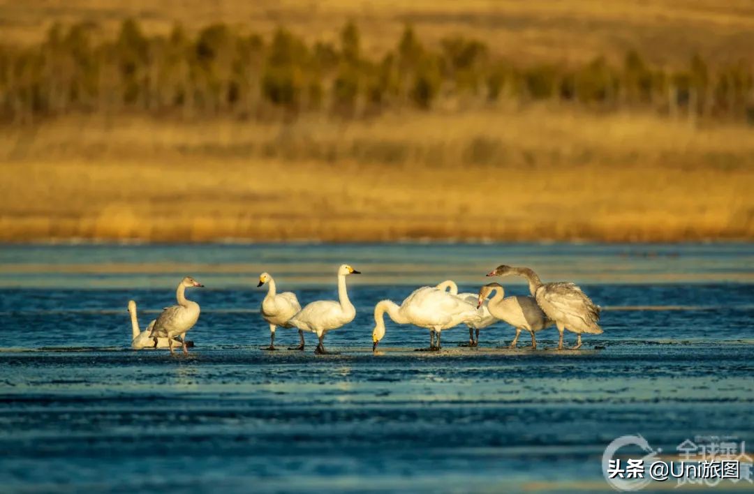 美图欣赏黄河全貌,航拍九曲黄河最美视频