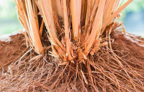 说文解字第0019集,说文解字第143课全集