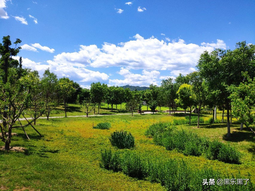 北京石渠公园在哪里,北京石渠公园